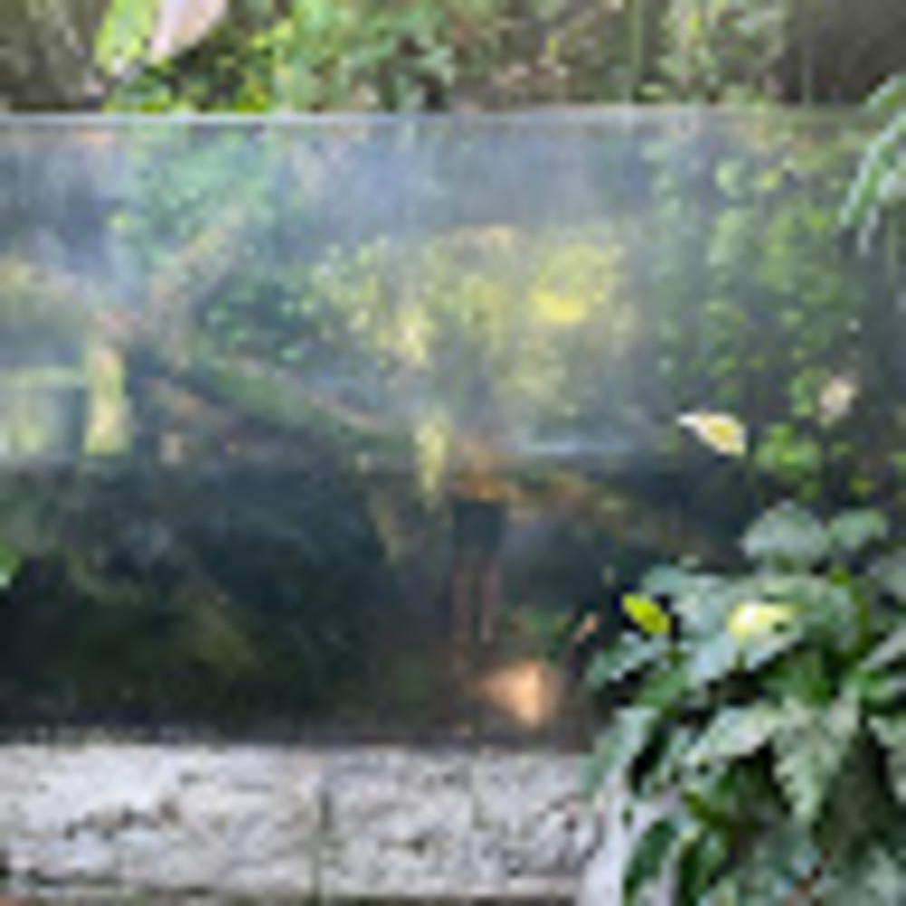 Meet your Posher, Kathleen